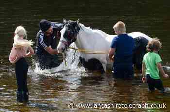 Visitors urged not to arrive at Appleby Horse Fair too early