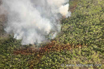 Peace River Regional District lifts evacuation order for residents near wildfire