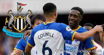 Newcastle United's Champions League fate still in their own hands as Danny Welbeck fires warning