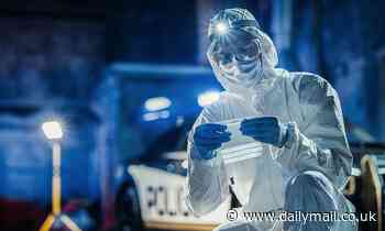 Burglars beware! Scientists have found a way to collect human DNA from almost ANYWHERE