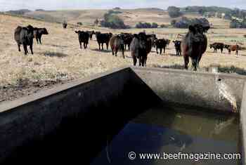 Drought and forage challenges continue in 2023