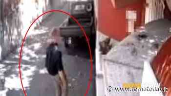 La banda del sonnifero spaventa il quartiere: "Noi pronti alle ronde. Qualcuno di noi è armato"