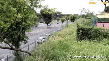 VIDEO | Giungla Capitale, l'erba incolta non risparmia nemmeno le ville storiche