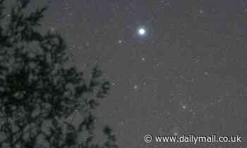 Star 150 TRILLION miles from Earth shines as a blue dot in the night sky in May