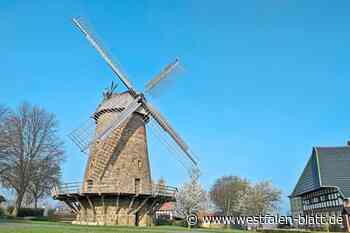 Lübbecker Vereine erhalten wieder vollen Zuschuss
