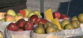 Farmers' market returns to Collingwood in time for May long weekend