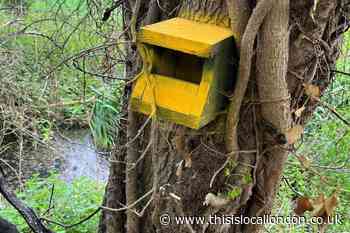 Vandals write 'racist graffiti' at Upminster fishing club