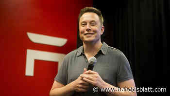 Aktien: Wie viel ist Tesla ohne Elon Musk wert?