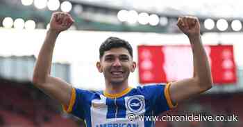 Brighton given timely injury boost ahead of mammoth Newcastle United showdown