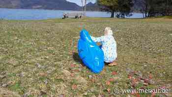 Wiese am Walchensee mit Rosenblättern aus Plastik übersät: Kinder und Eltern sammeln mühsam vielerlei Müll auf