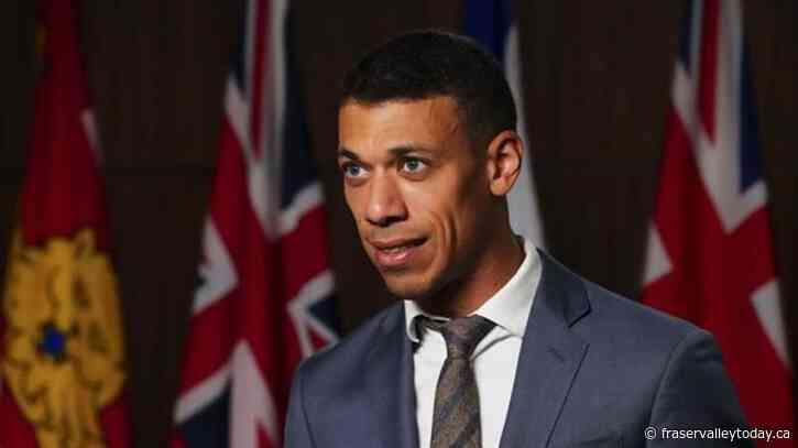 Green Party deputy leader to run in upcoming Montreal byelection