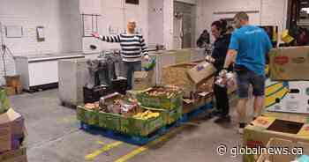 ‘Don’t let your neighbours fall through the cracks’: Saskatoon food drive underway