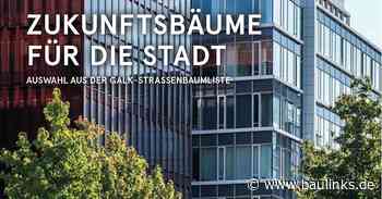 Starke Quartiere sind grüne Quartiere: BdB begrüßt Antrag der Regierungskoalition zur Städtebauförderung