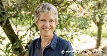 Macadamia industry in crisis