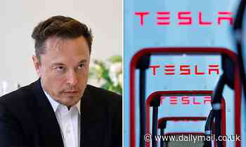 Tesla owners sue claiming software update cut range 20%, forcing some to buy $15k new batteries