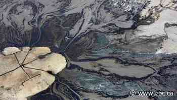 More than 30 birds found dead at Suncor oilsands tailings ponds sites in Alberta