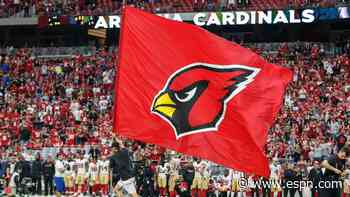 Ex-exec accuses Cardinals, owner of defamation