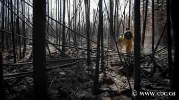 Shifting winds threaten to fan the flames of Alberta wildfires