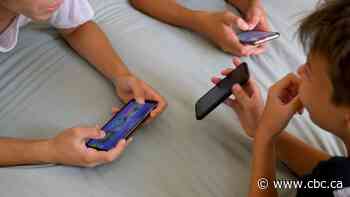 Students say misinformation abounds online. Experts say critical thinking helps them navigate it