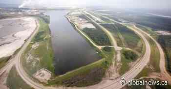 Dozens of dead birds found at Suncor oilsands tailings ponds sites