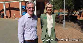 Business in the dark over power future