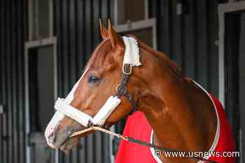 Kentucky Derby Winner Mage Set as 8-5 Morning Line Favorite for Preakness