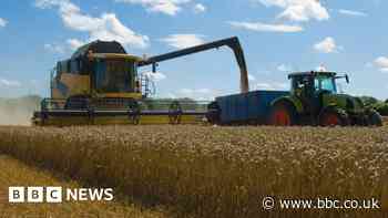 Food industry leaders to meet PM as prices soar