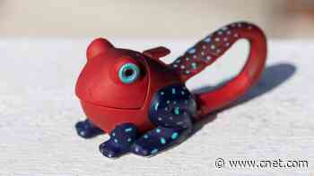 5 Things That Helped Me Survive 2 Massive Power Outages     - CNET