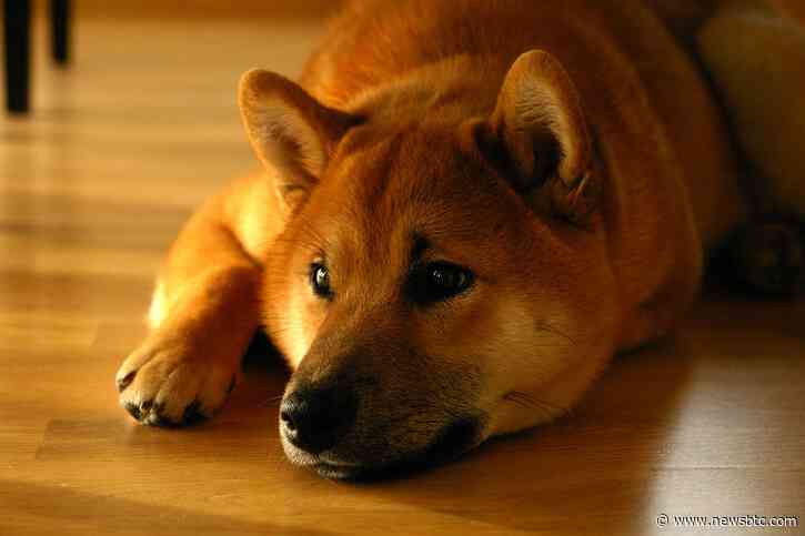 Shiba Inu Token Burn Hits 1.74 Billion In One Week, What’s The Current Status?
