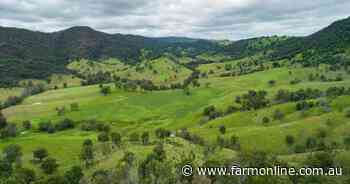Sheltered valley home to picturesque cattle property | Video