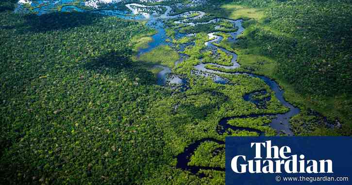 Adverts claiming products are carbon neutral by using offsetting face UK ban