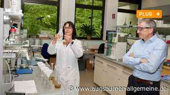 Viren, Medikamente, Gifte: Welche Geheimnisse Augsburgs Abwasser verrät