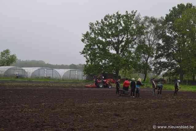Vzw Gooikenshoeve tracht met tuinconcerten en meer groentepakketten financieel rond te komen voor zijn zorgboerderij: “Wachtlijst voor opvang van jongeren bewijst noodzaak van onze werking”
