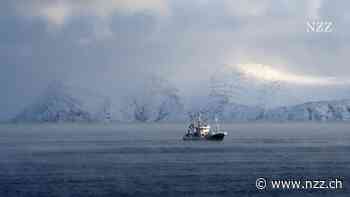 «Naivität ohne Ende»: Das Nordmeer ist für Russlands Militär zentral – Norwegen schützt die Region nicht ausreichend