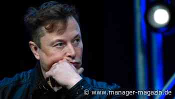 Elon Musk: Tesla-Chef soll Verbindungen zu Jeffrey Epstein offenlegen