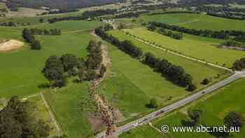 Forget the stockmarket and residential property. Farmland value is outstripping both
