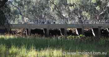 Calls for a review into devastating flooding