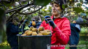 UBS-Ökonomen schlagen wegen Arbeitskräftemangel Alarm
