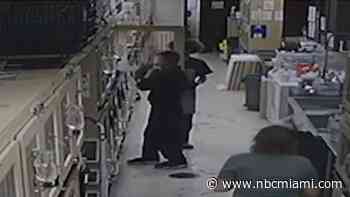 Man Caught on Camera Stealing French Bulldog Puppy From Petland Store in Kendall