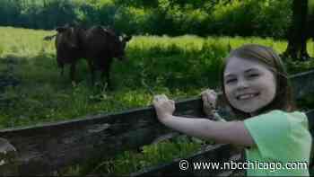 Father Releases Statement After Missing South Elgin Girl Featured in Netflix Series is Found