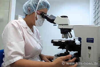 Herausforderungen der Anatomieforschung: Neue Erkenntnisse und künftige Entwicklungen