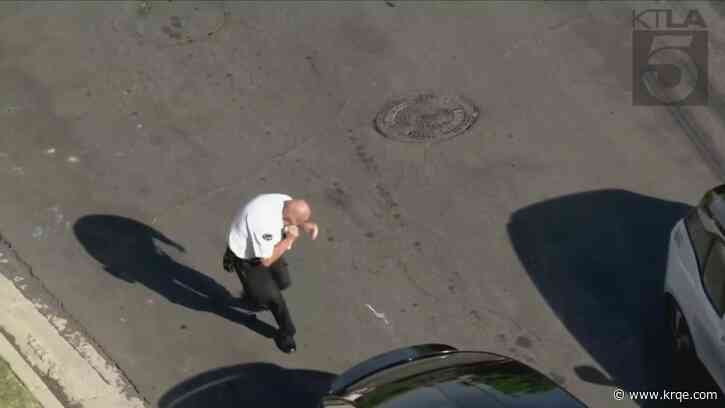 Swarm of bees close Los Angeles-area streets; injuries reported