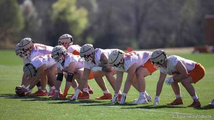 Guardian Caps among new player-safety initiatives being introduced by CFL