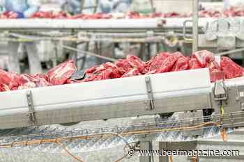STX Beef Co. buys Missouri Prime Beef Packers