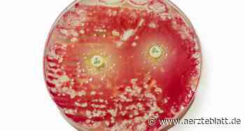 Neues Zentrum für Antibiotikaforschung nimmt Arbeit auf