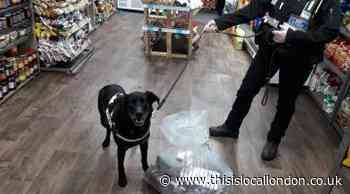 Barking shop owner fined after 3,000 illegal cigarettes found