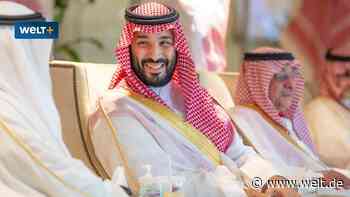 Saudi-Arabien zahlte Dienstreise für Habeck-Mitarbeiter