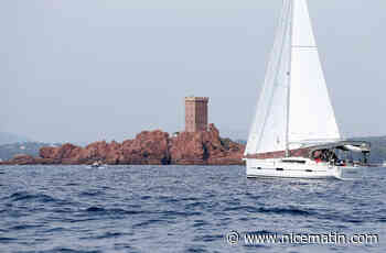 Non, le requin blanc qui fait le tour de TikTok n'a pas été filmé à Saint-Raphaël