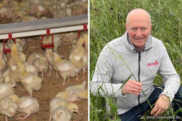 Ook pluimveehouder Danny werkt samen met bedrijf dat verdacht wordt van uitbuiting en mensenhandel: “Er is geen alternatief”