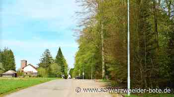 Bürgerbegehren in Dobel: Was wird aus dem Wald?